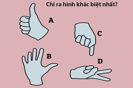 Những câu đố vui, hại não