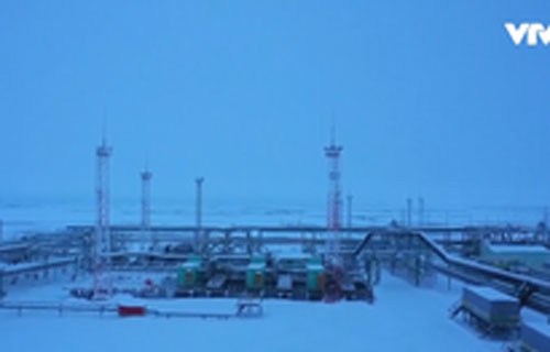 Kinh doanh xăng dầu