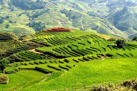 Khám phá Việt Nam