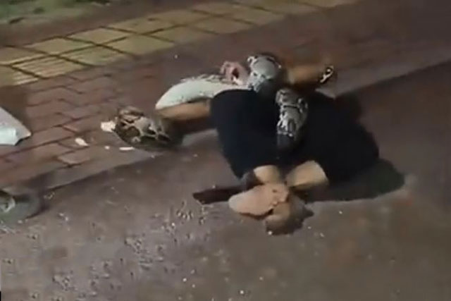 Ảnh cắt từ clip.