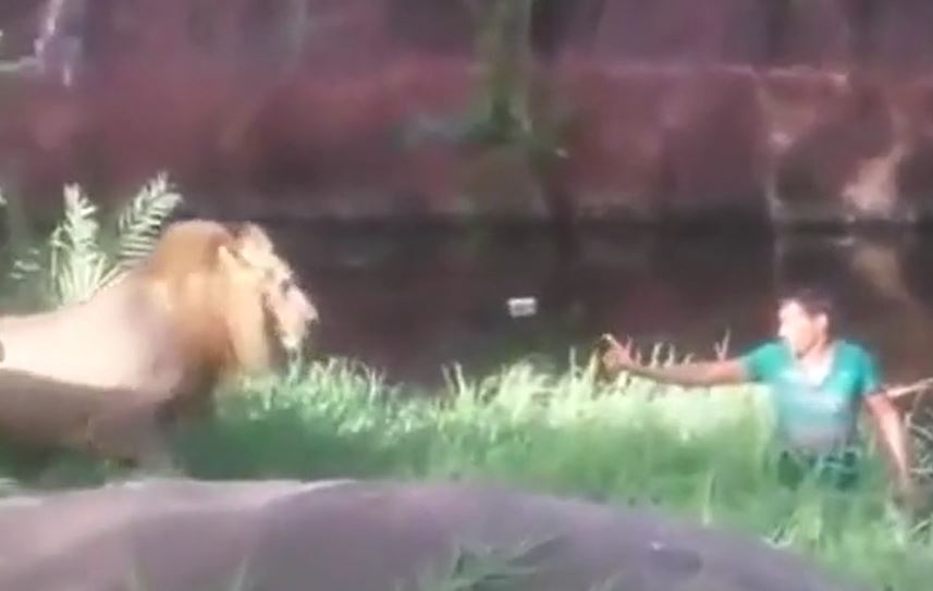 Ảnh cắt từ clip.