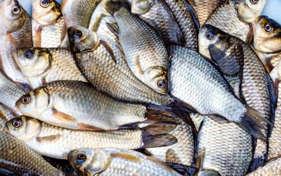 'Thịt lợn không mua thịt cổ, mua cá không mua cá diếc': Câu chuyện đằng sau lời khuyên của người xưa sẽ khiến bạn phải suy ngẫm