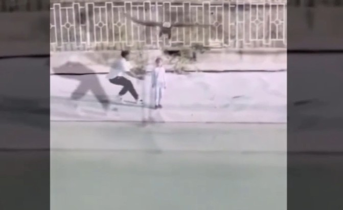 Ảnh cắt từ clip.