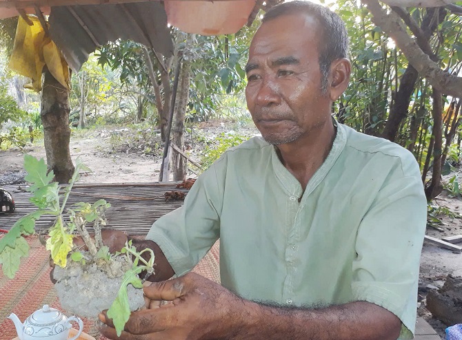 Ông Chau Phonl cùng cây thảo dược để cứu người. Ông Chau Phonl cùng cây thảo dược để cứu người.