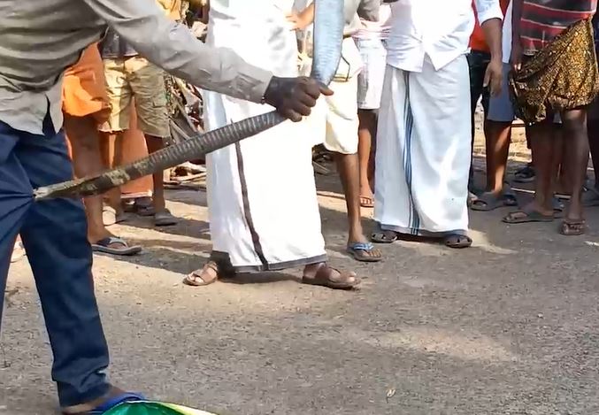 Ảnh cắt từ clip.