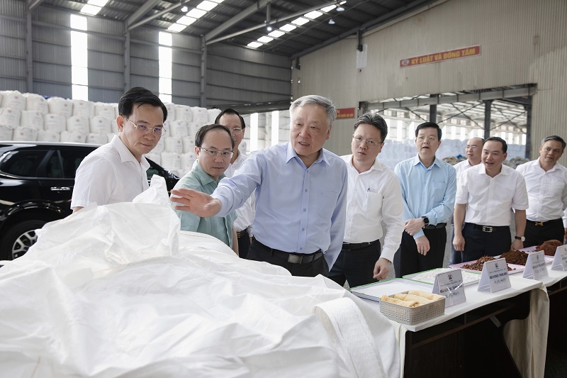 Phó Thủ tướng cùng đoàn công tác kiểm tra quy trình chế biến alumin. 