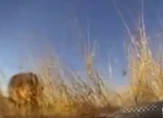 Ảnh cắt từ clip.