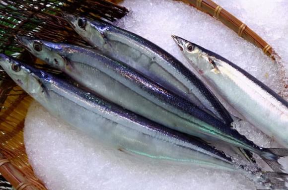 Mình thường ăn cá nên chọn 3 loài cá này, không có cách nào nuôi nhân tạo nên cứ tự tin mà ăn