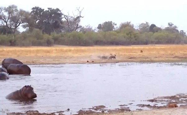 Ảnh cắt từ clip.