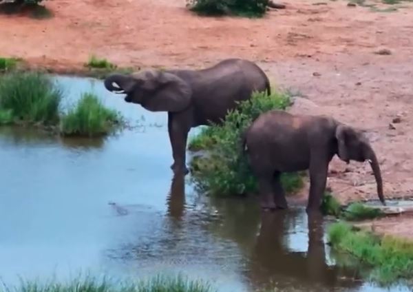 Ảnh cắt từ clip.