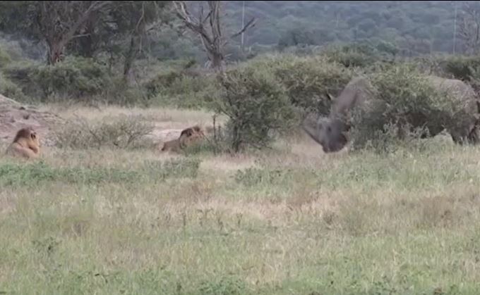 Ảnh cắt từ clip.