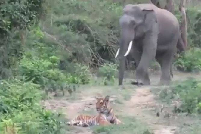 Ảnh cắt từ clip.