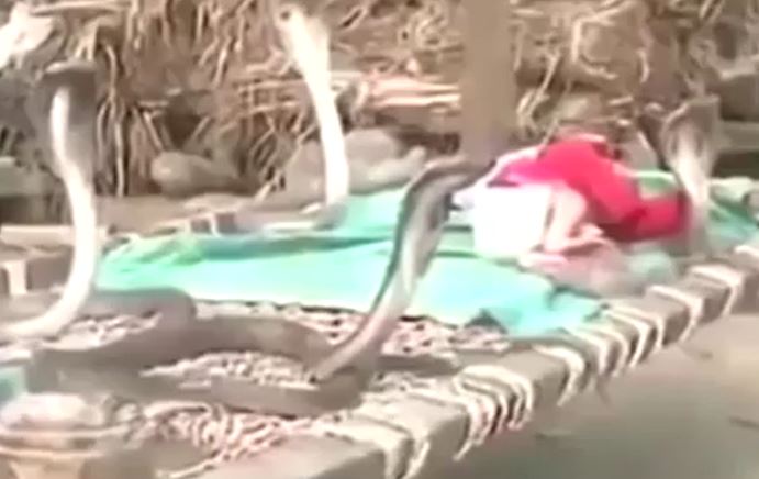 Ảnh cắt từ clip.