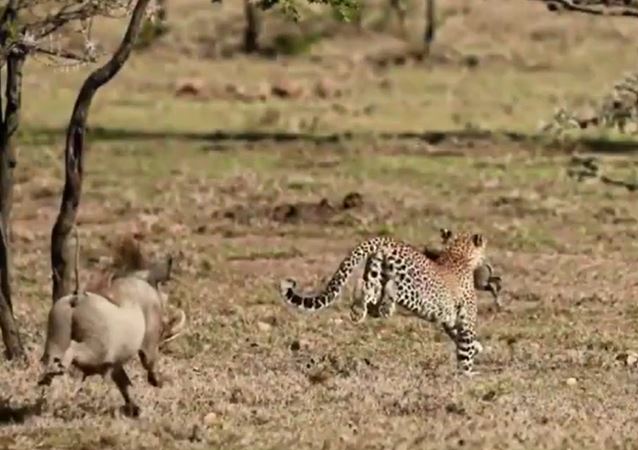 Ảnh cắt từ clip.