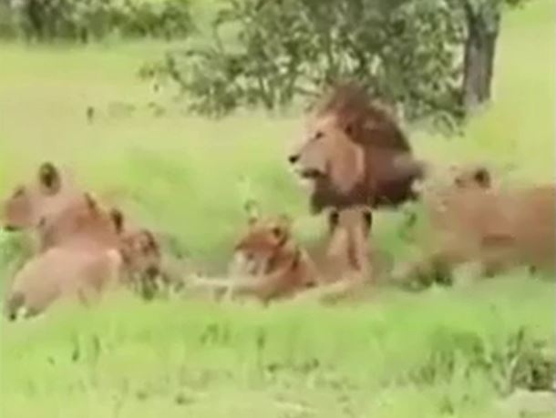 Ảnh cắt từ clip.