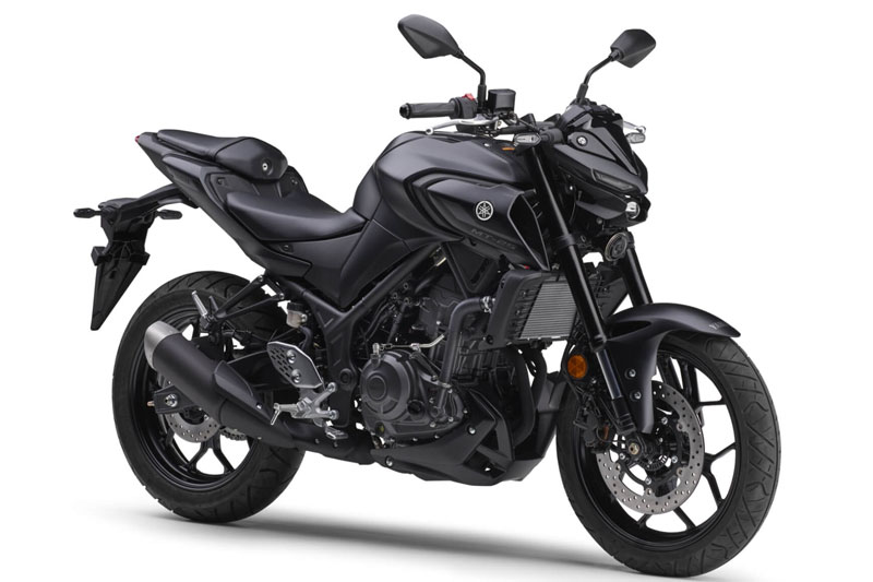 Yamaha MT-25 2025.
