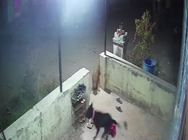 Ảnh cắt từ clip.