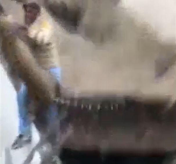 Ảnh cắt từ clip.