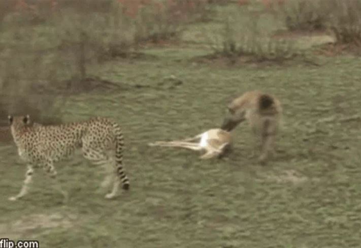 Ảnh cắt từ clip.