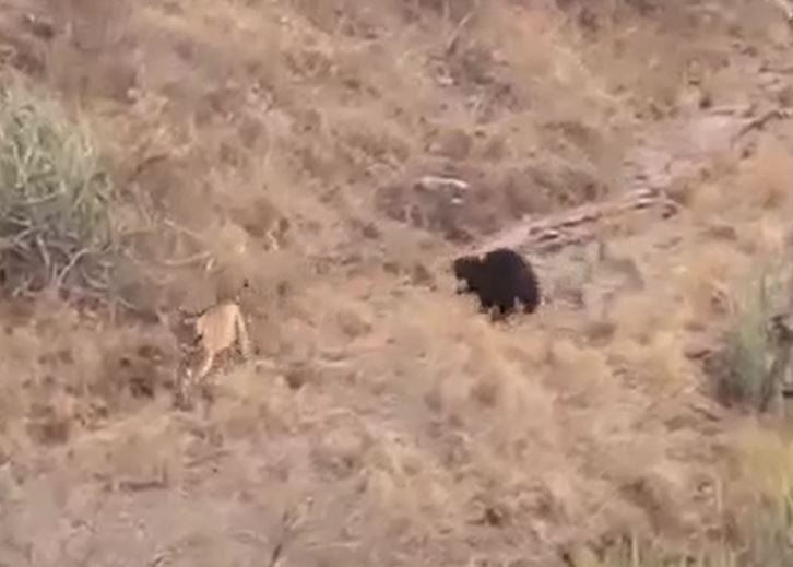 Ảnh cắt từ clip.