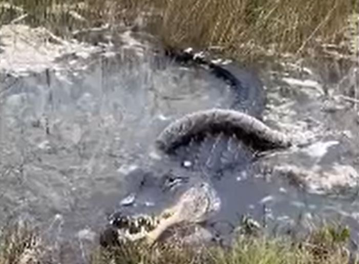 Ảnh cắt từ clip.