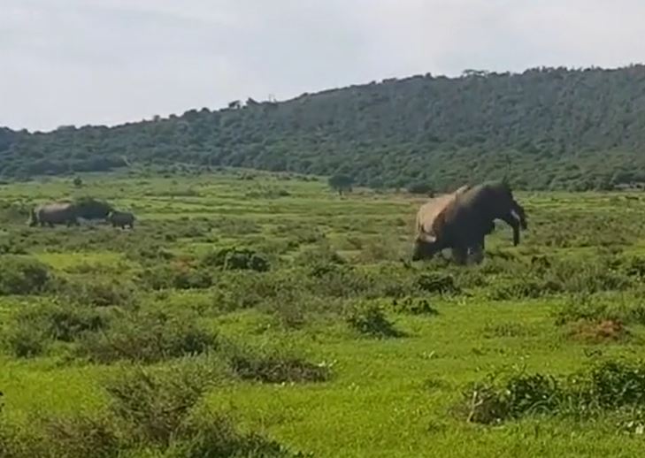 Ảnh cắt từ clip.