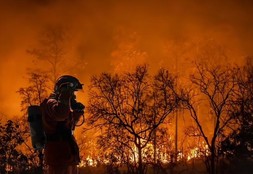 Biến đổi khí hậu đang gây ra lượng mưa lớn hơn, làm tăng sự phát triển của cỏ dễ cháy trong những tháng dẫn đến mùa cháy rừng.