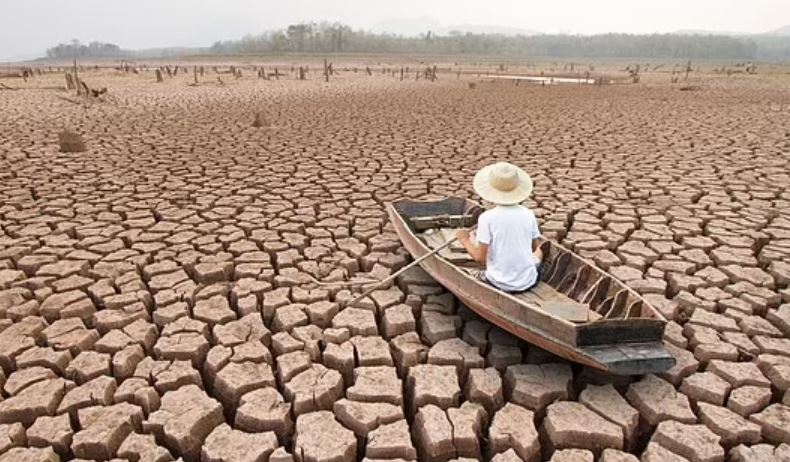 các sự kiện thời tiết cực đoan dữ dội như hạn hán, cháy rừng, bão nhiệt đới và lũ lụt có thể xảy ra nhiều hơn.