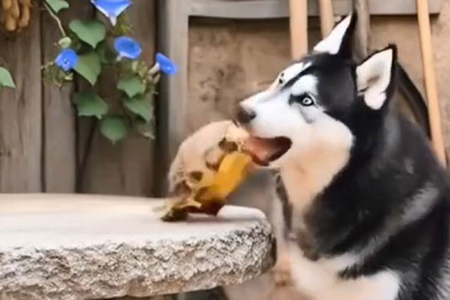 Ảnh cắt từ video.