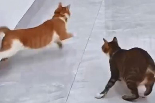 Ảnh cắt từ video.