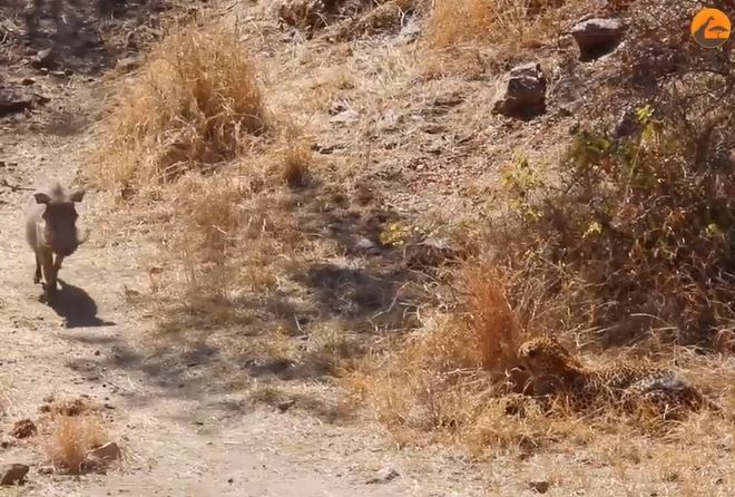 Ảnh cắt từ clip.