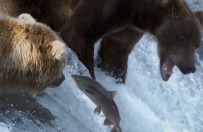 Ảnh cắt từ clip.