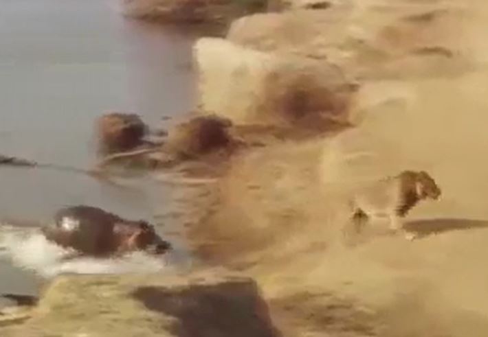 Ảnh cắt từ clip.