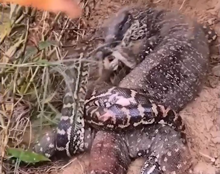 Ảnh cắt từ clip.