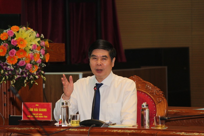 Ông Lâm Hải Giang – Phó Chủ tịch UBND tỉnh Bình Định, phát biểu tại hội thảo.