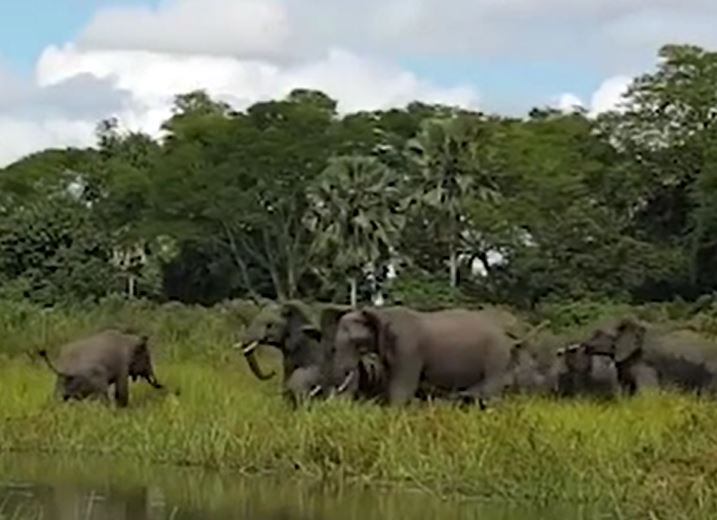 Ảnh cắt từ clip.