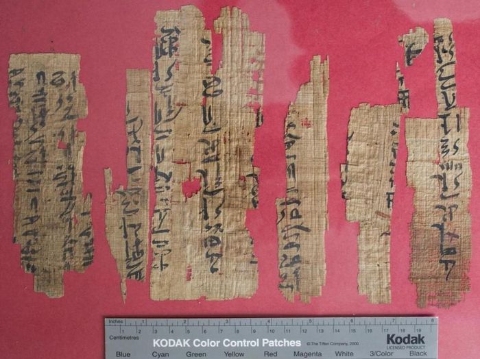 Berlin Papyrus 3024.