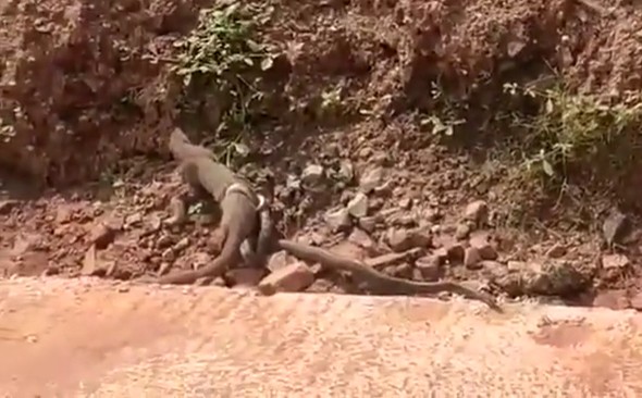 Ảnh cắt từ clip.