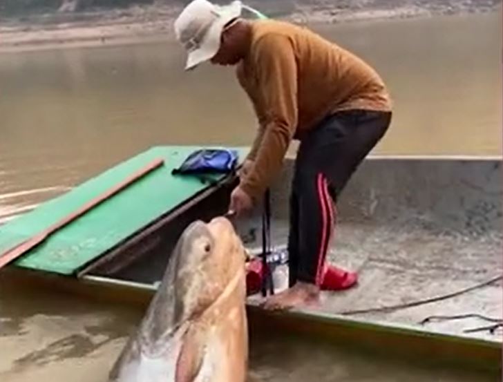 Ảnh cắt từ clip.