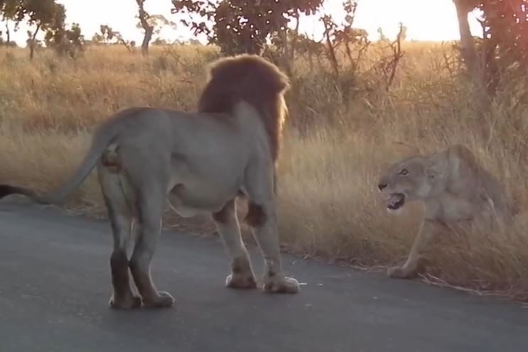 Ảnh cắt từ clip.