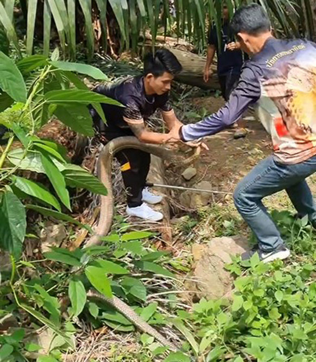 Ảnh cắt từ clip.