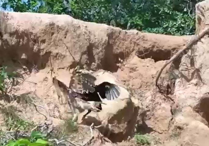 Ảnh cắt từ clip.