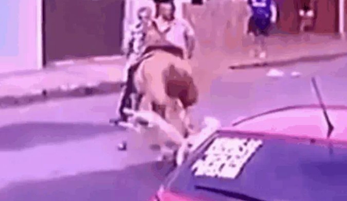 Ảnh cắt từ clip.