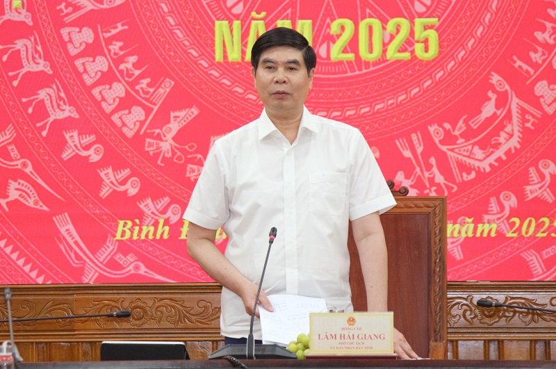 ông Lâm Hải Giang - Phó Chủ tịch UBND tỉnh Bình Định, 