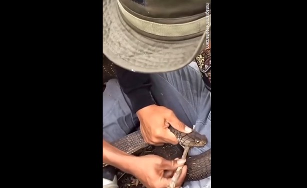 Ảnh cắt từ clip.