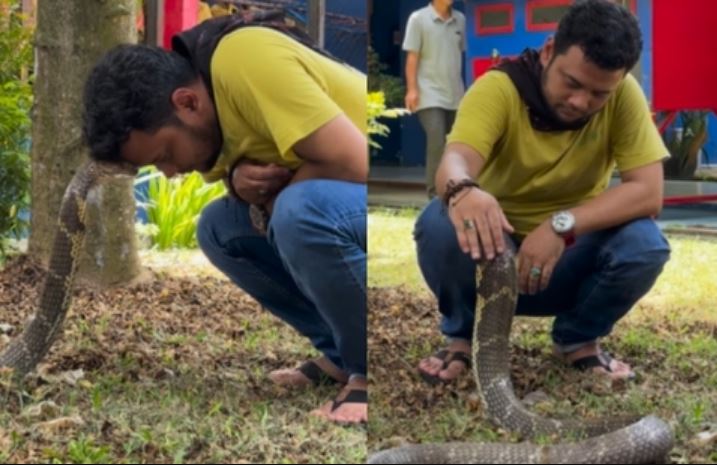 Người đàn ông chạm đầu vào đầu con rắn.