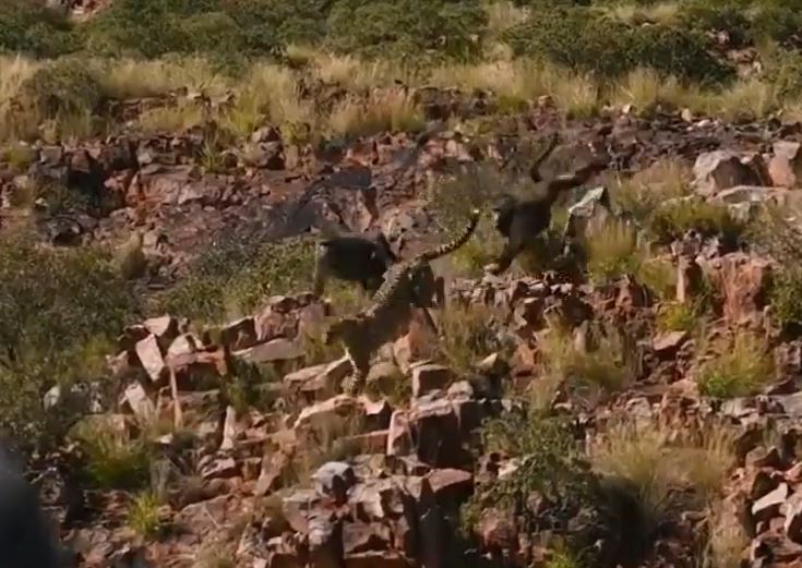 Ảnh cắt từ clip.