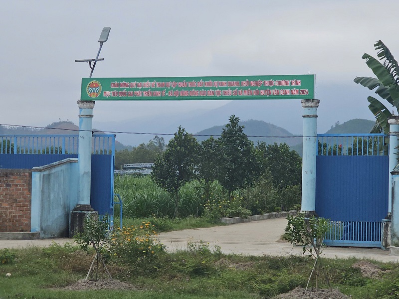 Lối vào dự án sản xuất rau an toàn theo tiêu chuẩn VietGap của Công ty cổ phần đầu tư và xây dựng C.P.