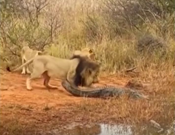 Ảnh cắt từ clip.