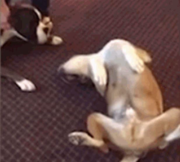 Ảnh cắt từ clip.